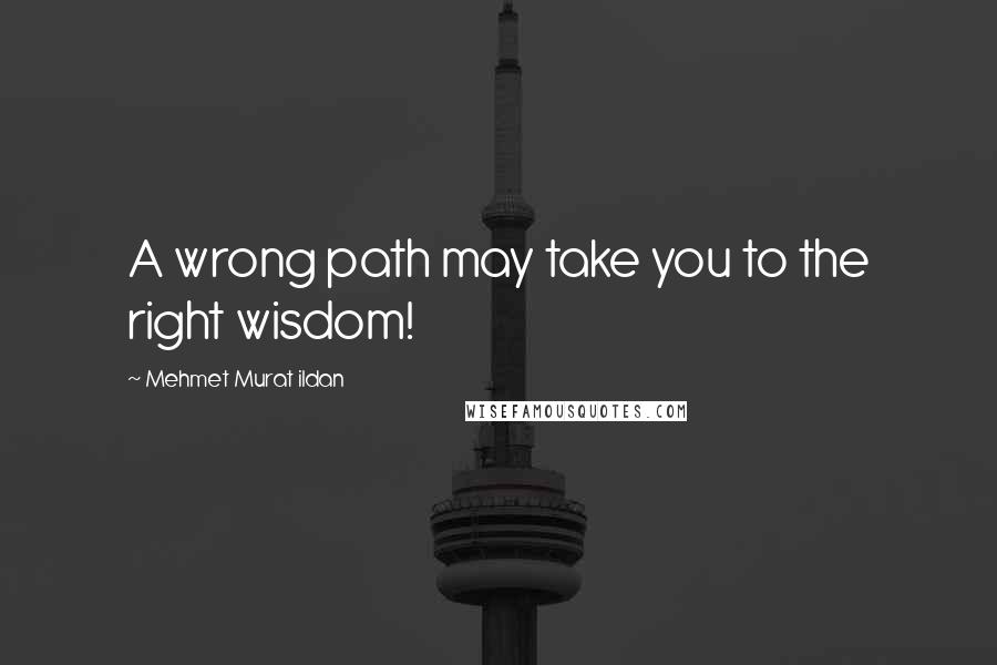 Mehmet Murat Ildan Quotes: A wrong path may take you to the right wisdom!