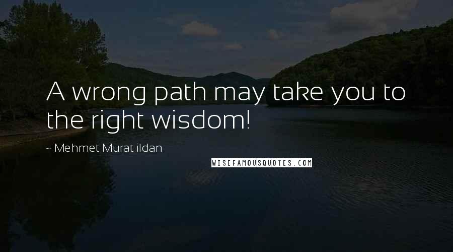 Mehmet Murat Ildan Quotes: A wrong path may take you to the right wisdom!