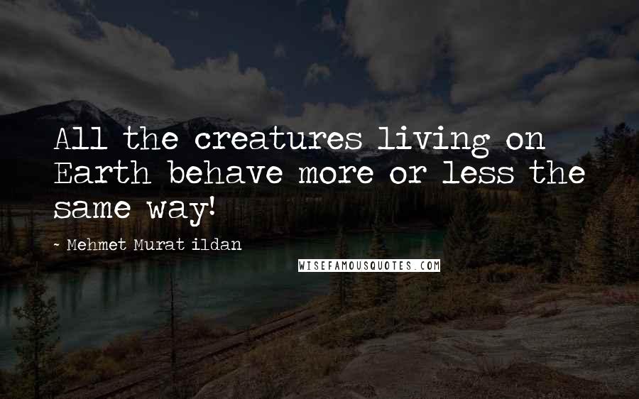 Mehmet Murat Ildan Quotes: All the creatures living on Earth behave more or less the same way!