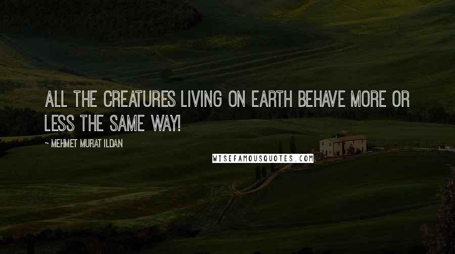 Mehmet Murat Ildan Quotes: All the creatures living on Earth behave more or less the same way!