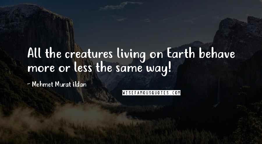 Mehmet Murat Ildan Quotes: All the creatures living on Earth behave more or less the same way!