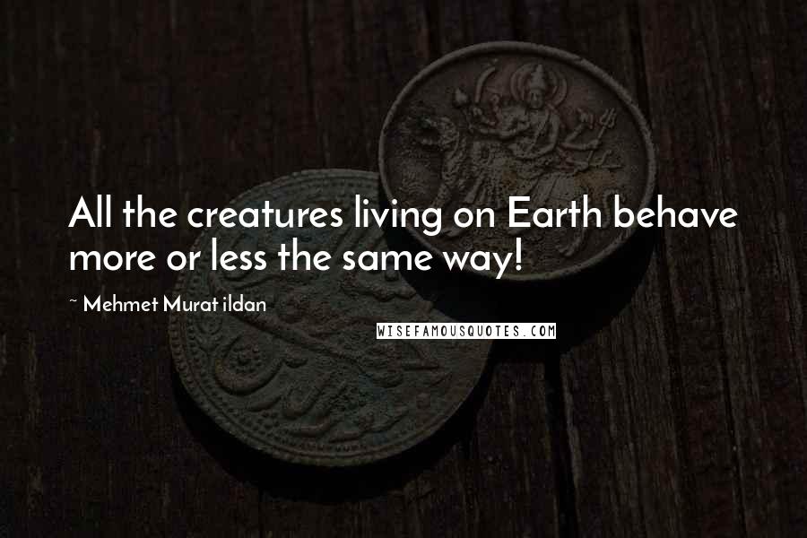 Mehmet Murat Ildan Quotes: All the creatures living on Earth behave more or less the same way!