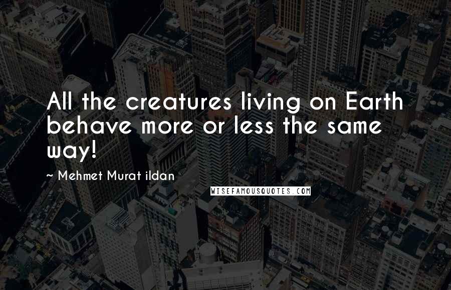 Mehmet Murat Ildan Quotes: All the creatures living on Earth behave more or less the same way!