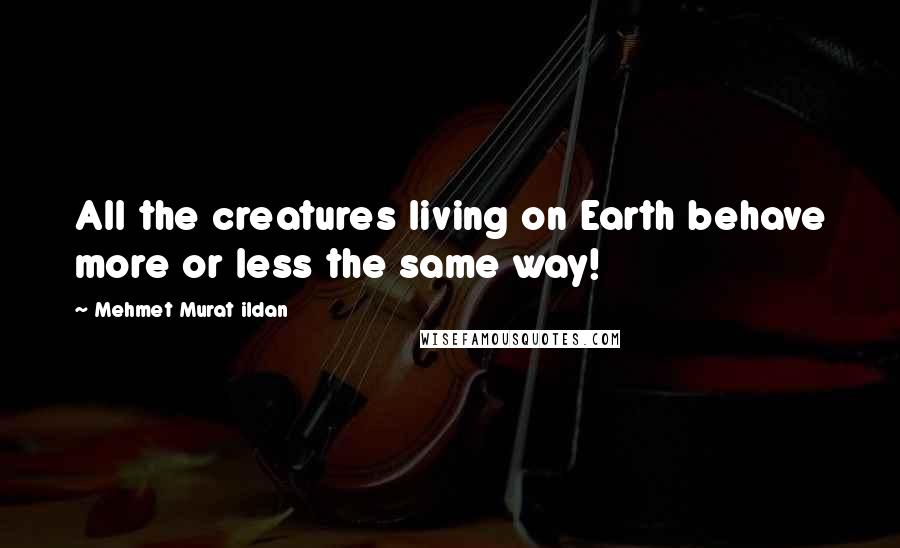 Mehmet Murat Ildan Quotes: All the creatures living on Earth behave more or less the same way!