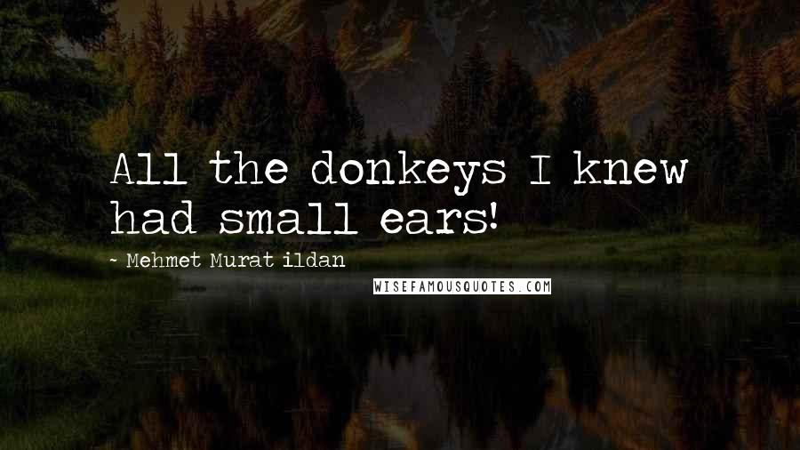 Mehmet Murat Ildan Quotes: All the donkeys I knew had small ears!