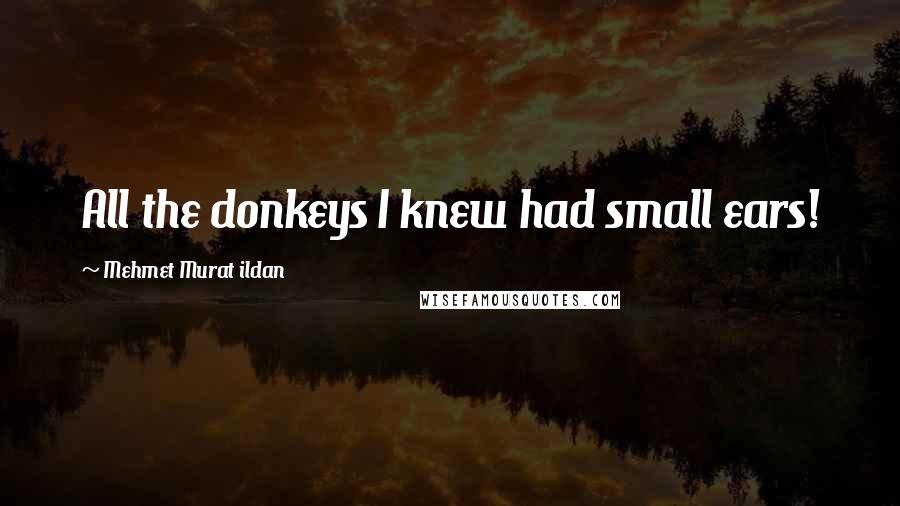 Mehmet Murat Ildan Quotes: All the donkeys I knew had small ears!