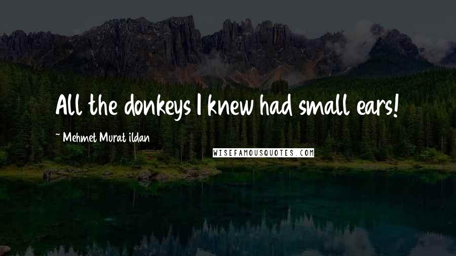 Mehmet Murat Ildan Quotes: All the donkeys I knew had small ears!