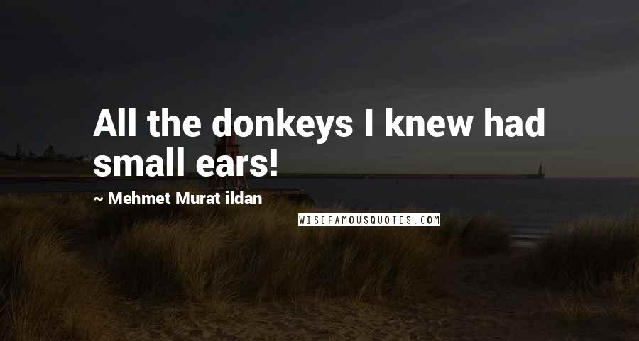 Mehmet Murat Ildan Quotes: All the donkeys I knew had small ears!