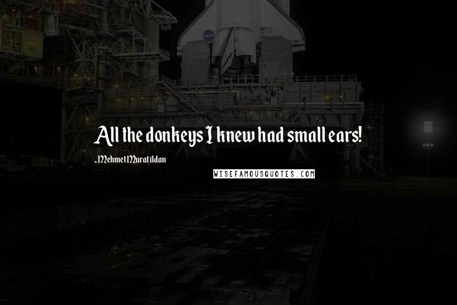 Mehmet Murat Ildan Quotes: All the donkeys I knew had small ears!