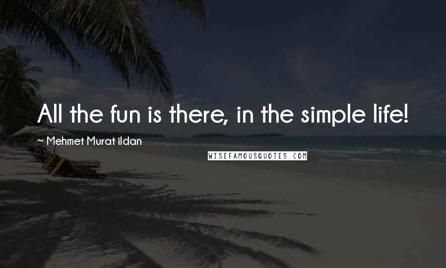 Mehmet Murat Ildan Quotes: All the fun is there, in the simple life!