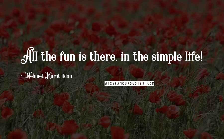 Mehmet Murat Ildan Quotes: All the fun is there, in the simple life!