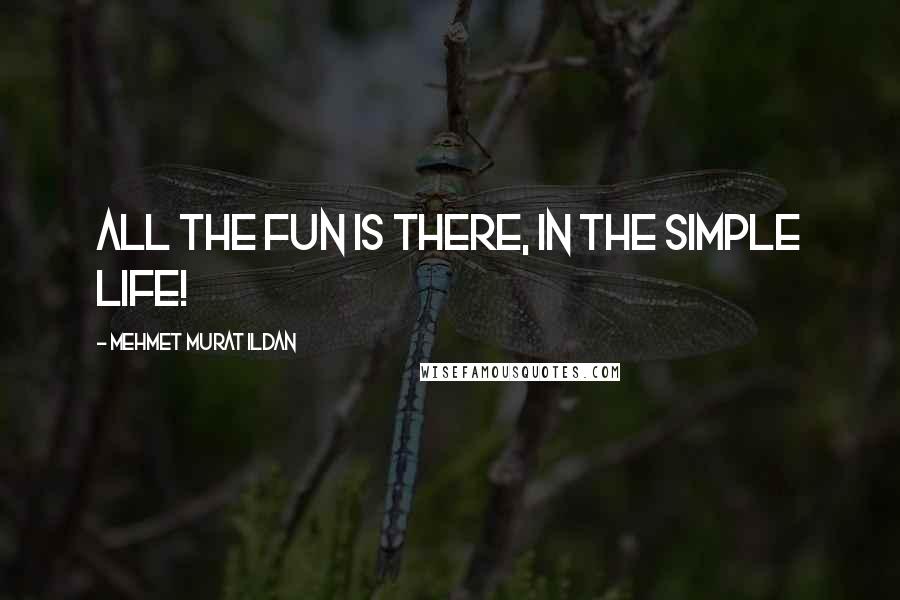 Mehmet Murat Ildan Quotes: All the fun is there, in the simple life!