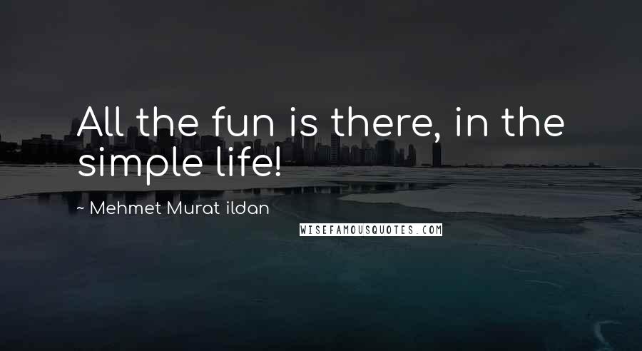 Mehmet Murat Ildan Quotes: All the fun is there, in the simple life!