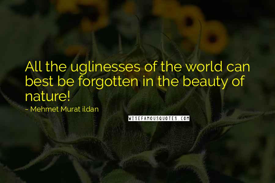 Mehmet Murat Ildan Quotes: All the uglinesses of the world can best be forgotten in the beauty of nature!