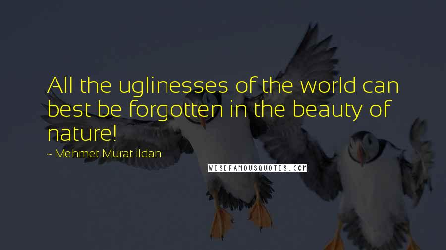 Mehmet Murat Ildan Quotes: All the uglinesses of the world can best be forgotten in the beauty of nature!