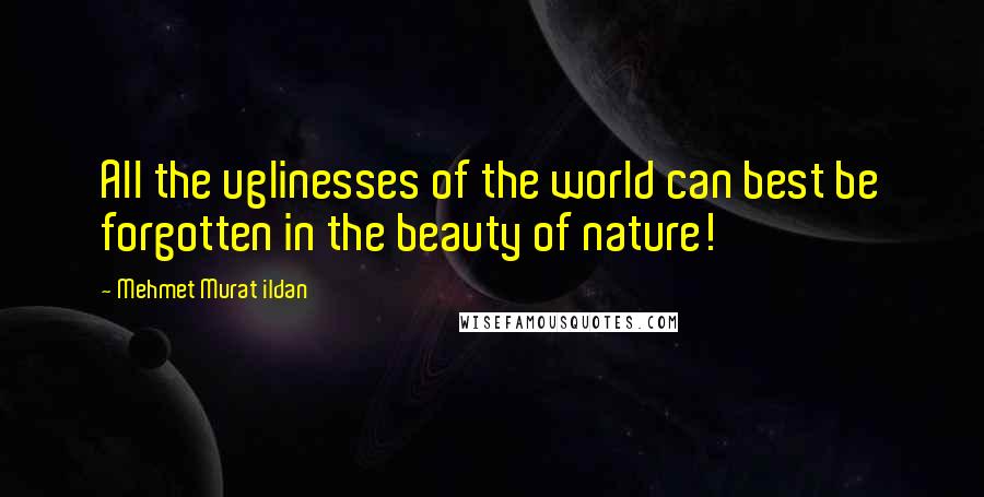 Mehmet Murat Ildan Quotes: All the uglinesses of the world can best be forgotten in the beauty of nature!