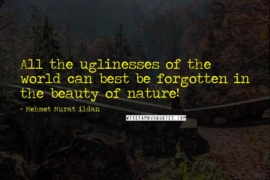 Mehmet Murat Ildan Quotes: All the uglinesses of the world can best be forgotten in the beauty of nature!