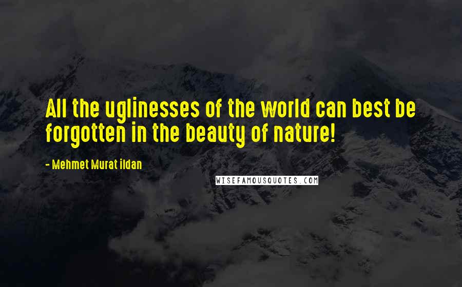 Mehmet Murat Ildan Quotes: All the uglinesses of the world can best be forgotten in the beauty of nature!