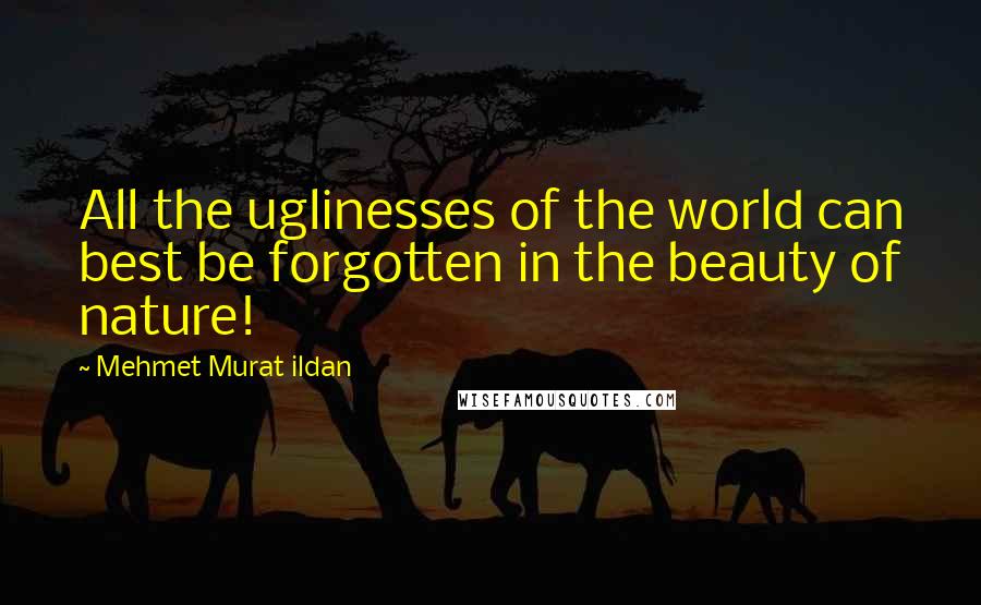 Mehmet Murat Ildan Quotes: All the uglinesses of the world can best be forgotten in the beauty of nature!