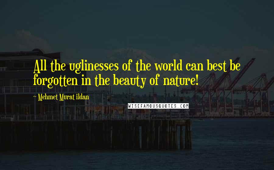 Mehmet Murat Ildan Quotes: All the uglinesses of the world can best be forgotten in the beauty of nature!