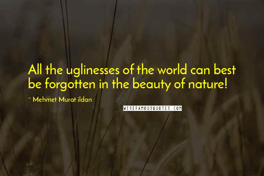 Mehmet Murat Ildan Quotes: All the uglinesses of the world can best be forgotten in the beauty of nature!