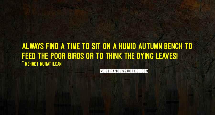 Mehmet Murat Ildan Quotes: Always find a time to sit on a humid autumn bench to feed the poor birds or to think the dying leaves!