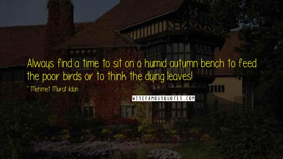 Mehmet Murat Ildan Quotes: Always find a time to sit on a humid autumn bench to feed the poor birds or to think the dying leaves!