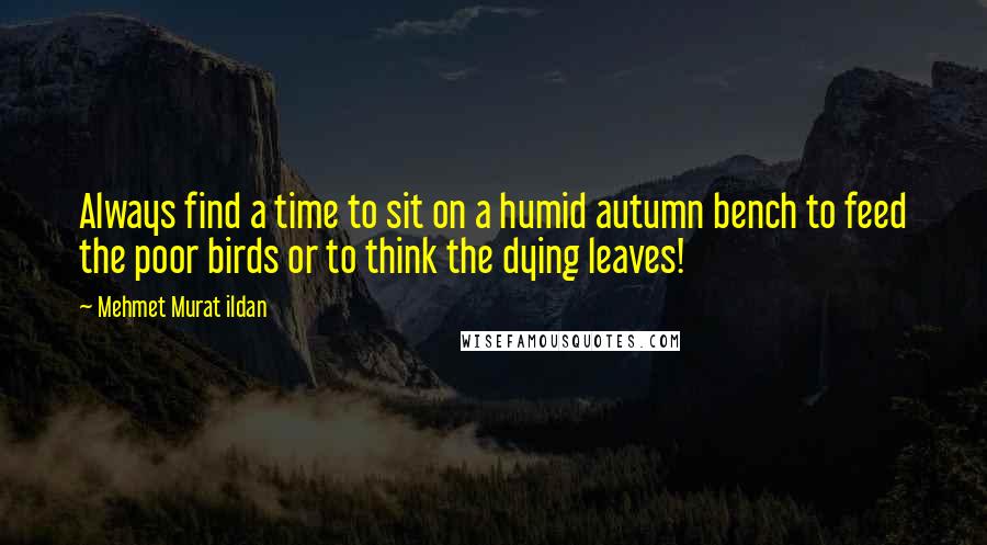 Mehmet Murat Ildan Quotes: Always find a time to sit on a humid autumn bench to feed the poor birds or to think the dying leaves!