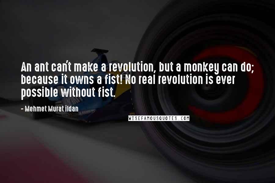 Mehmet Murat Ildan Quotes: An ant can't make a revolution, but a monkey can do; because it owns a fist! No real revolution is ever possible without fist.
