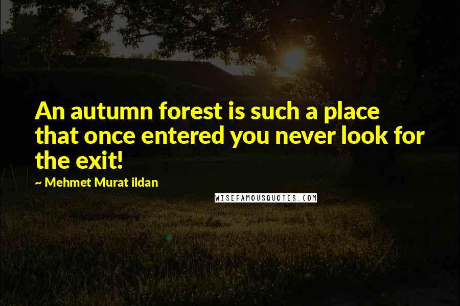 Mehmet Murat Ildan Quotes: An autumn forest is such a place that once entered you never look for the exit!