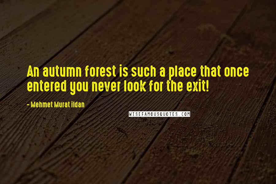 Mehmet Murat Ildan Quotes: An autumn forest is such a place that once entered you never look for the exit!