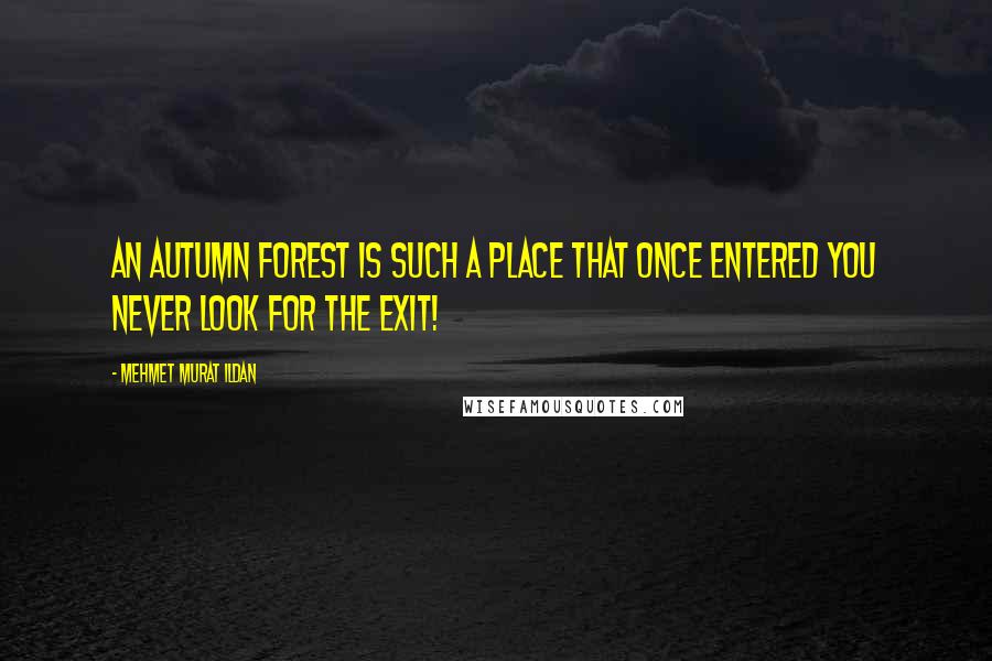 Mehmet Murat Ildan Quotes: An autumn forest is such a place that once entered you never look for the exit!