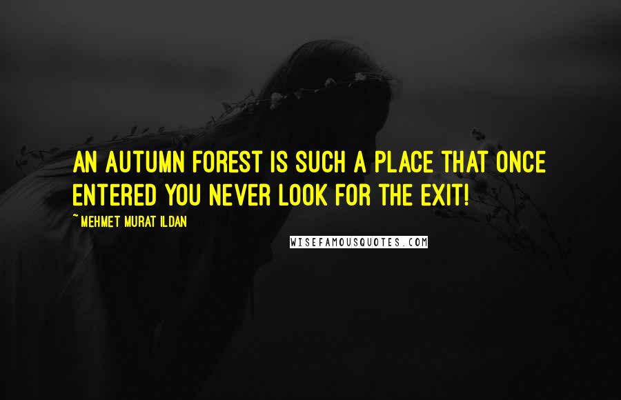 Mehmet Murat Ildan Quotes: An autumn forest is such a place that once entered you never look for the exit!