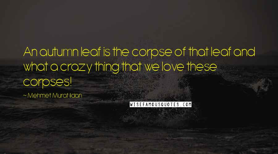 Mehmet Murat Ildan Quotes: An autumn leaf is the corpse of that leaf and what a crazy thing that we love these corpses!