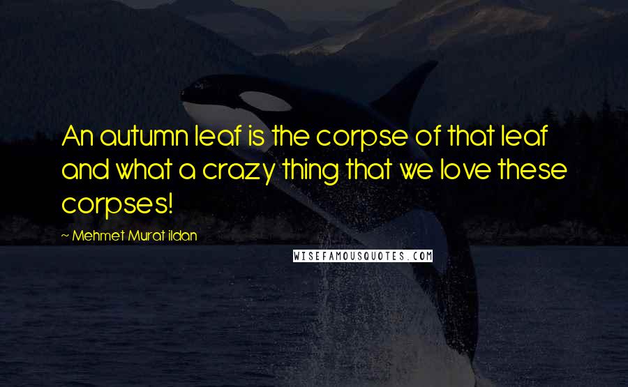 Mehmet Murat Ildan Quotes: An autumn leaf is the corpse of that leaf and what a crazy thing that we love these corpses!