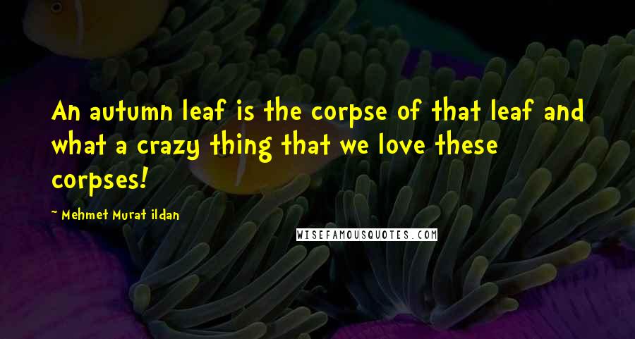 Mehmet Murat Ildan Quotes: An autumn leaf is the corpse of that leaf and what a crazy thing that we love these corpses!