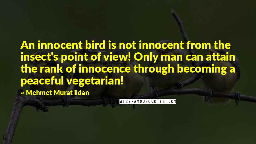 Mehmet Murat Ildan Quotes: An innocent bird is not innocent from the insect's point of view! Only man can attain the rank of innocence through becoming a peaceful vegetarian!