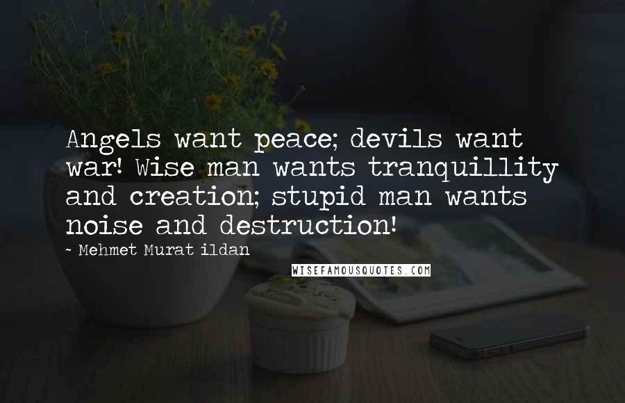 Mehmet Murat Ildan Quotes: Angels want peace; devils want war! Wise man wants tranquillity and creation; stupid man wants noise and destruction!
