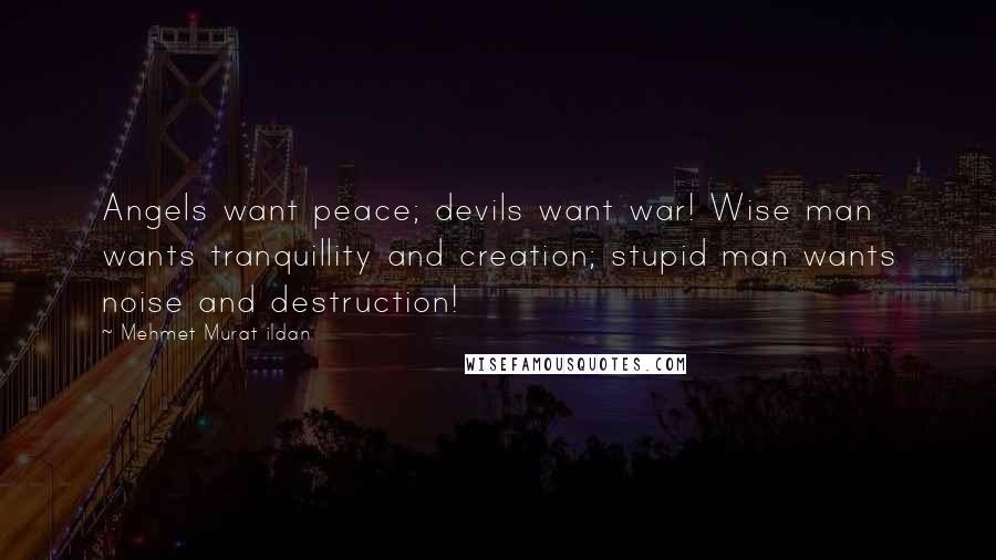 Mehmet Murat Ildan Quotes: Angels want peace; devils want war! Wise man wants tranquillity and creation; stupid man wants noise and destruction!