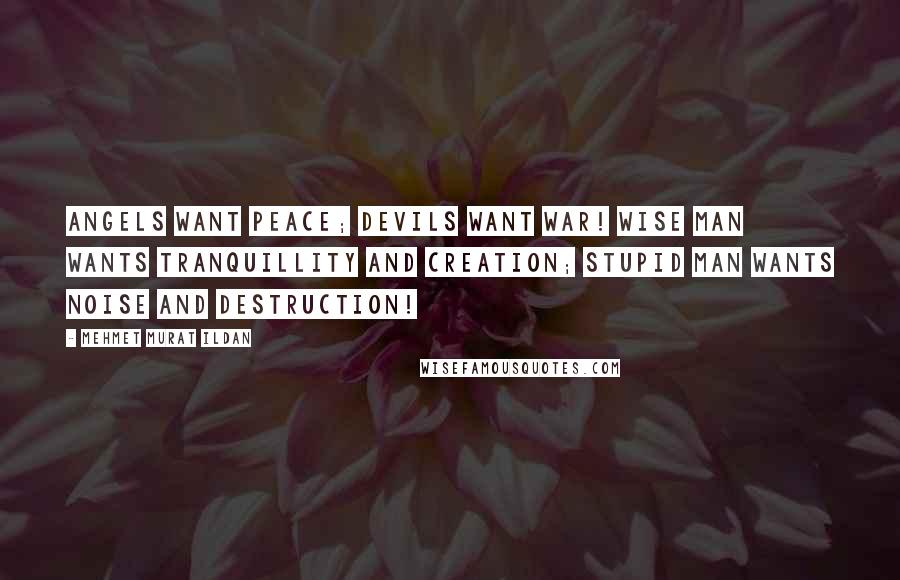 Mehmet Murat Ildan Quotes: Angels want peace; devils want war! Wise man wants tranquillity and creation; stupid man wants noise and destruction!