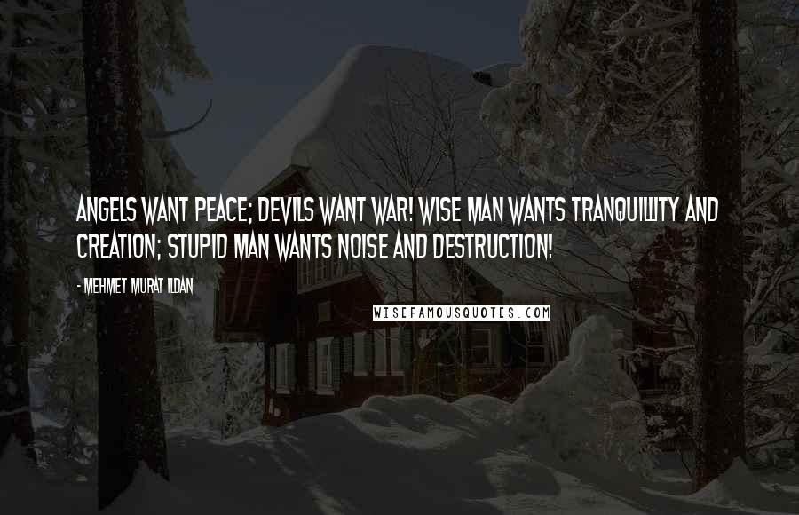 Mehmet Murat Ildan Quotes: Angels want peace; devils want war! Wise man wants tranquillity and creation; stupid man wants noise and destruction!