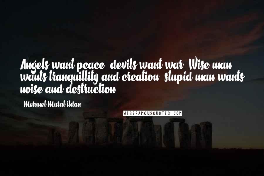 Mehmet Murat Ildan Quotes: Angels want peace; devils want war! Wise man wants tranquillity and creation; stupid man wants noise and destruction!