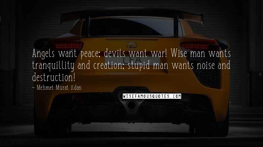 Mehmet Murat Ildan Quotes: Angels want peace; devils want war! Wise man wants tranquillity and creation; stupid man wants noise and destruction!