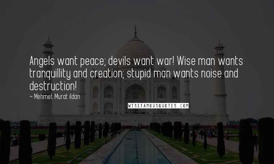 Mehmet Murat Ildan Quotes: Angels want peace; devils want war! Wise man wants tranquillity and creation; stupid man wants noise and destruction!