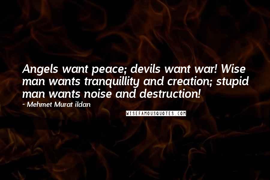 Mehmet Murat Ildan Quotes: Angels want peace; devils want war! Wise man wants tranquillity and creation; stupid man wants noise and destruction!
