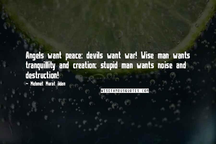 Mehmet Murat Ildan Quotes: Angels want peace; devils want war! Wise man wants tranquillity and creation; stupid man wants noise and destruction!