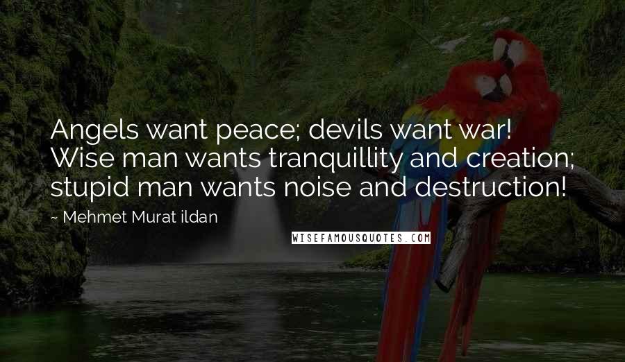 Mehmet Murat Ildan Quotes: Angels want peace; devils want war! Wise man wants tranquillity and creation; stupid man wants noise and destruction!