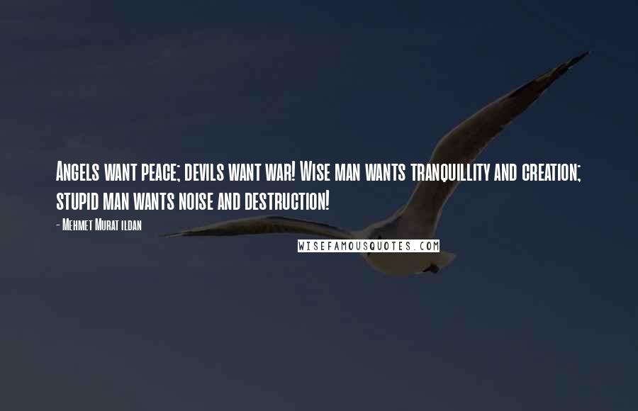 Mehmet Murat Ildan Quotes: Angels want peace; devils want war! Wise man wants tranquillity and creation; stupid man wants noise and destruction!