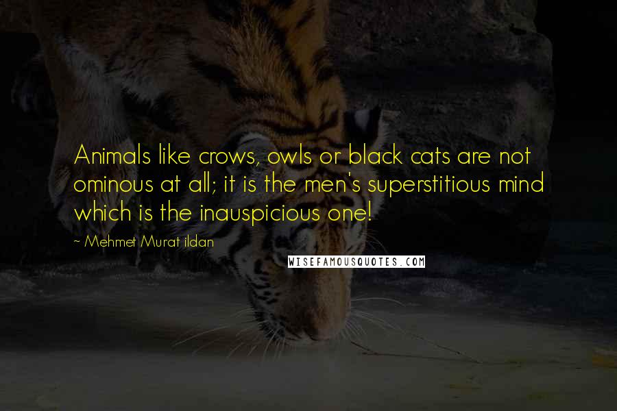 Mehmet Murat Ildan Quotes: Animals like crows, owls or black cats are not ominous at all; it is the men's superstitious mind which is the inauspicious one!