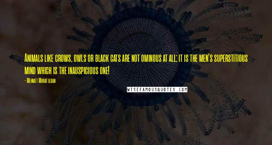 Mehmet Murat Ildan Quotes: Animals like crows, owls or black cats are not ominous at all; it is the men's superstitious mind which is the inauspicious one!